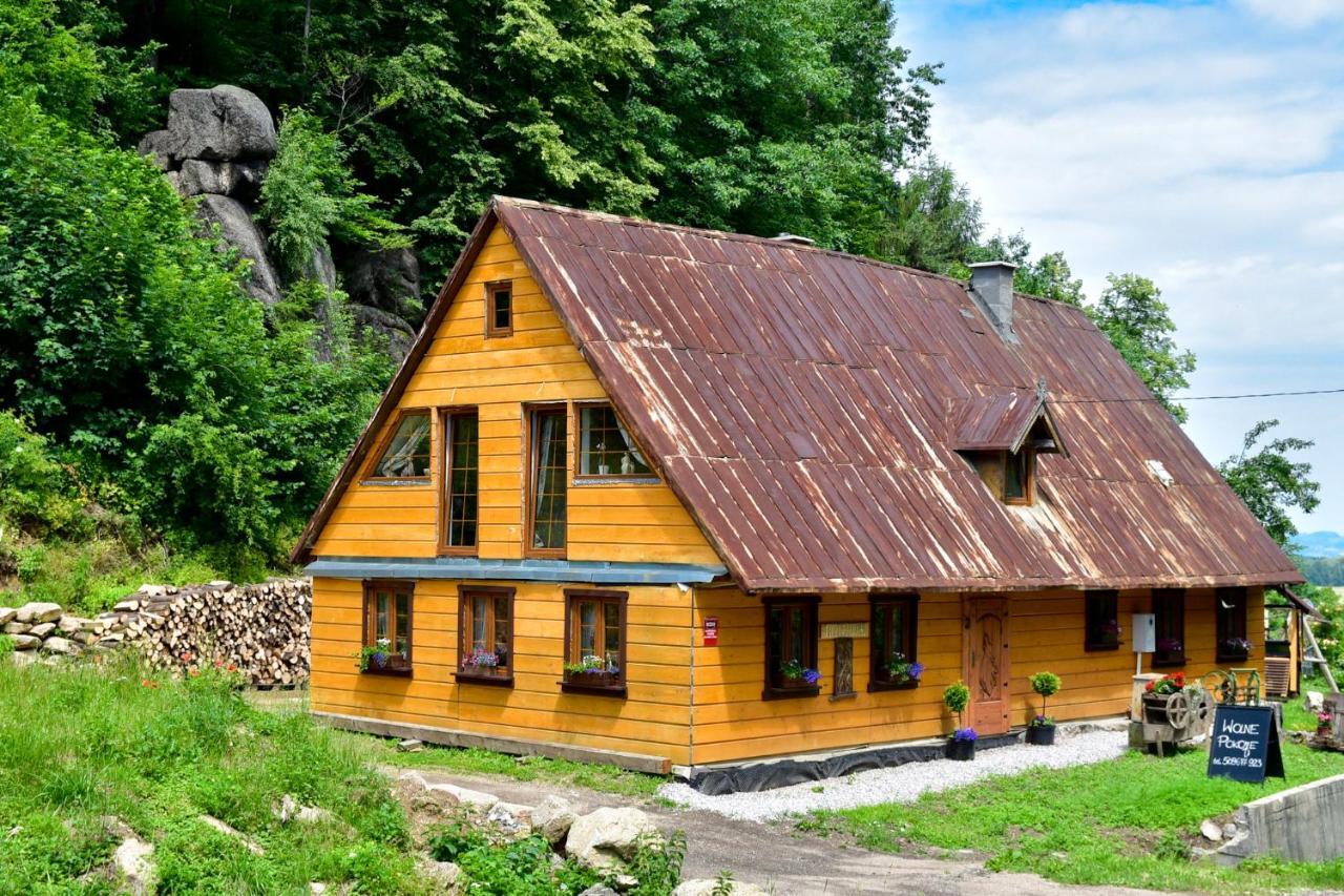 Wilcza Gajowka Vila Sosnówka Exterior foto